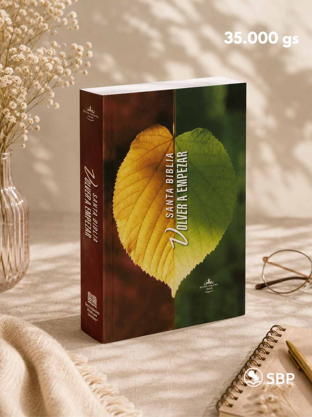 Biblia Misionera - Volver a empezar