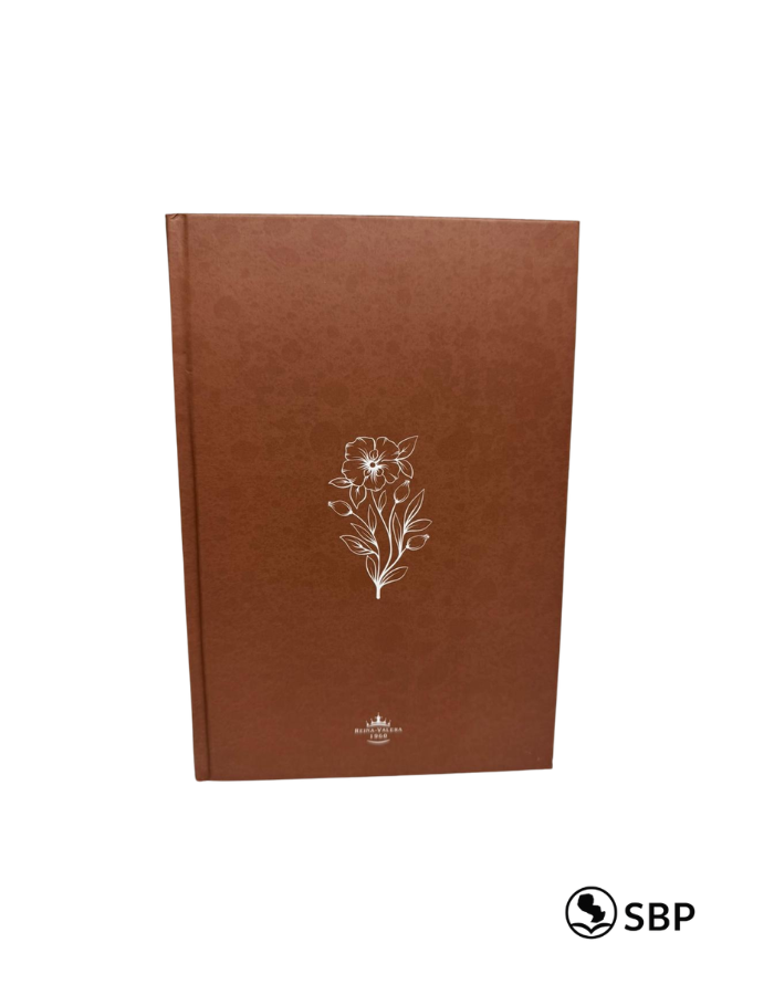 Biblia Tapa Dura Letra Grande – RVR1960