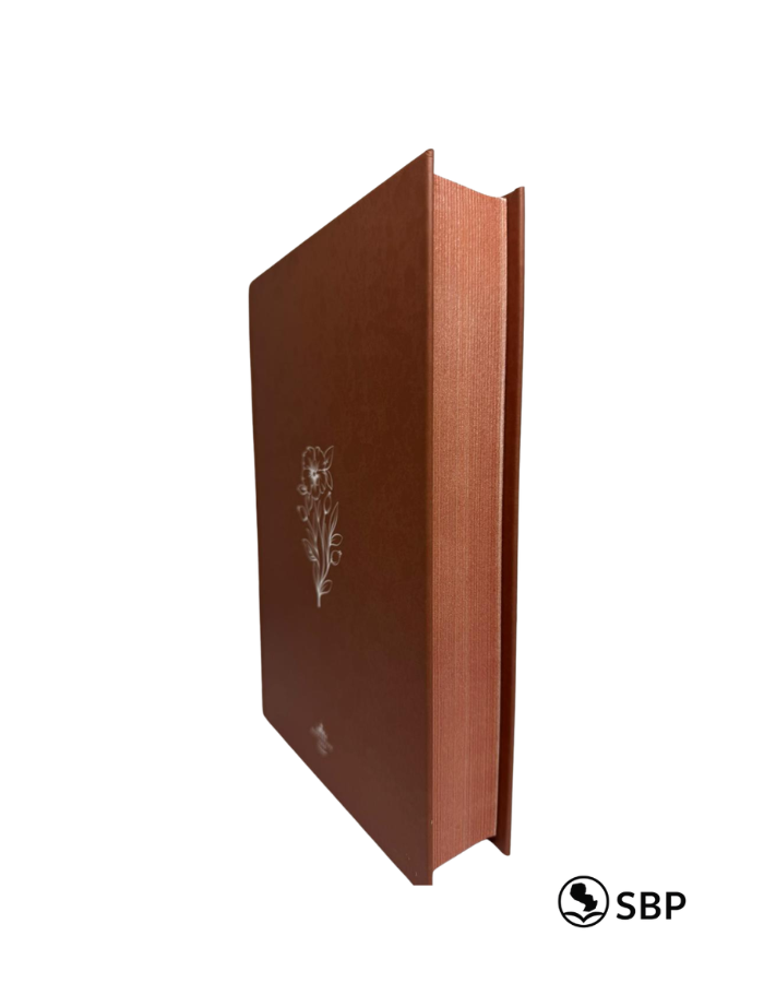 Biblia Tapa Dura Letra Grande – RVR1960