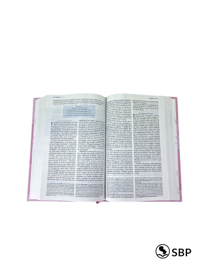 Biblia Perdón y Restauración - De Estudio