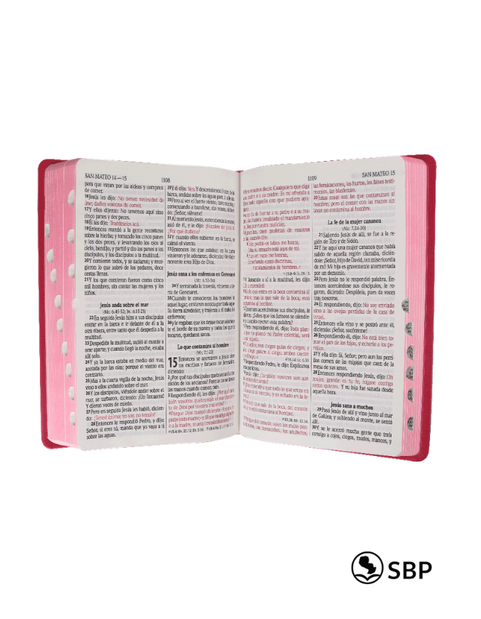 Santa Biblia Mariposa con Índice – Letra Grande | Reina Valera 1960