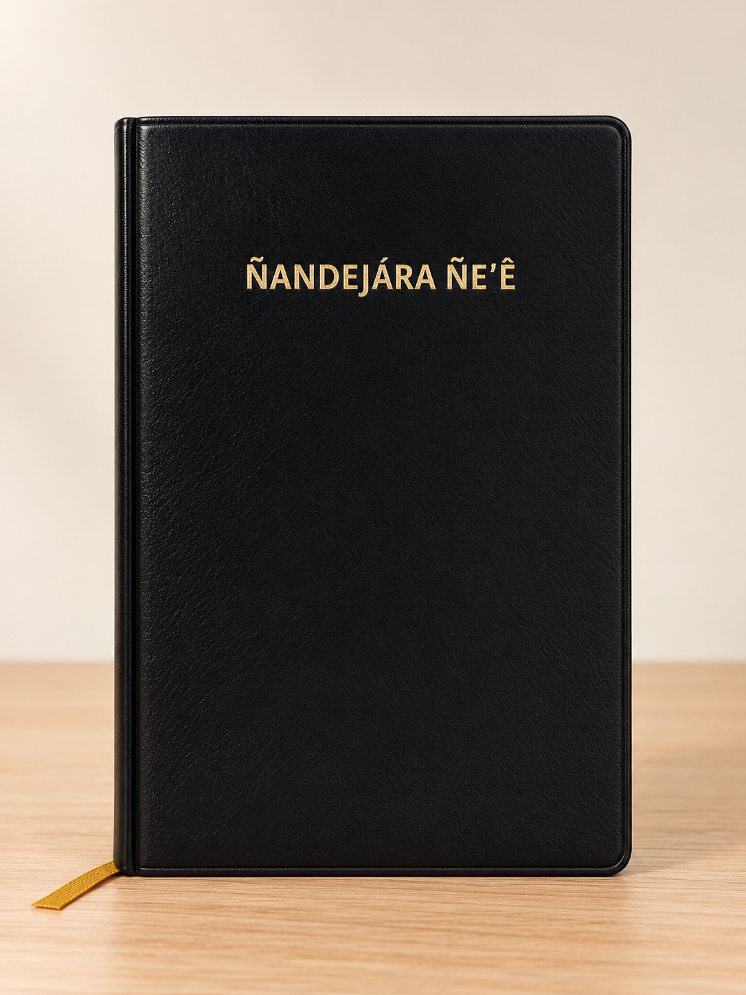 Biblia en Guaraní - Ñandejára Ñe'ẽ