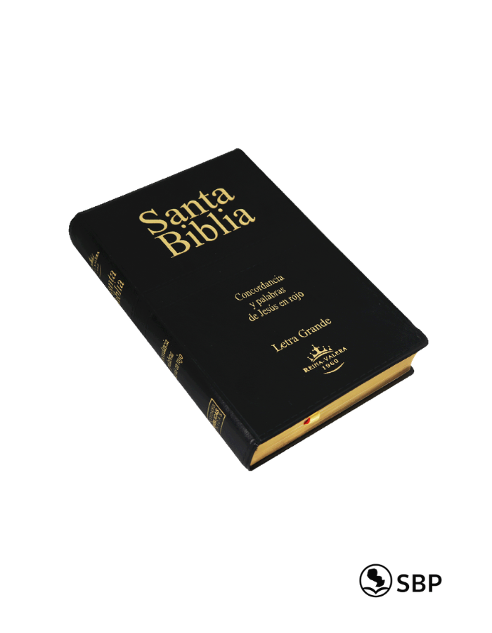 Santa Biblia Negra Letra Grande – RVR1960