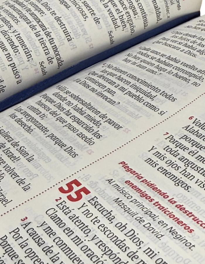 Biblia con cierre – Letra grande, rosa diseño femenino