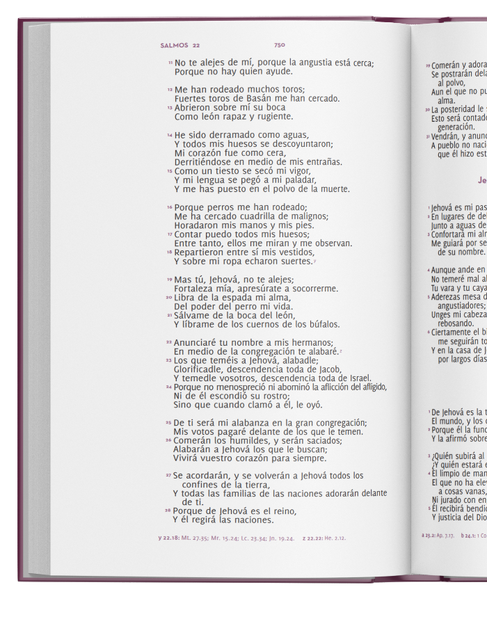 Biblia Adoro – Estudio Reina Valera 1960